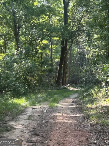 a view of a garden with a tree
