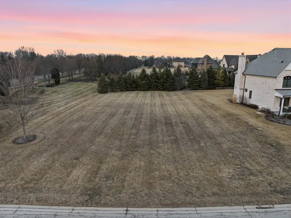 a view of a dry yard with trees in the background