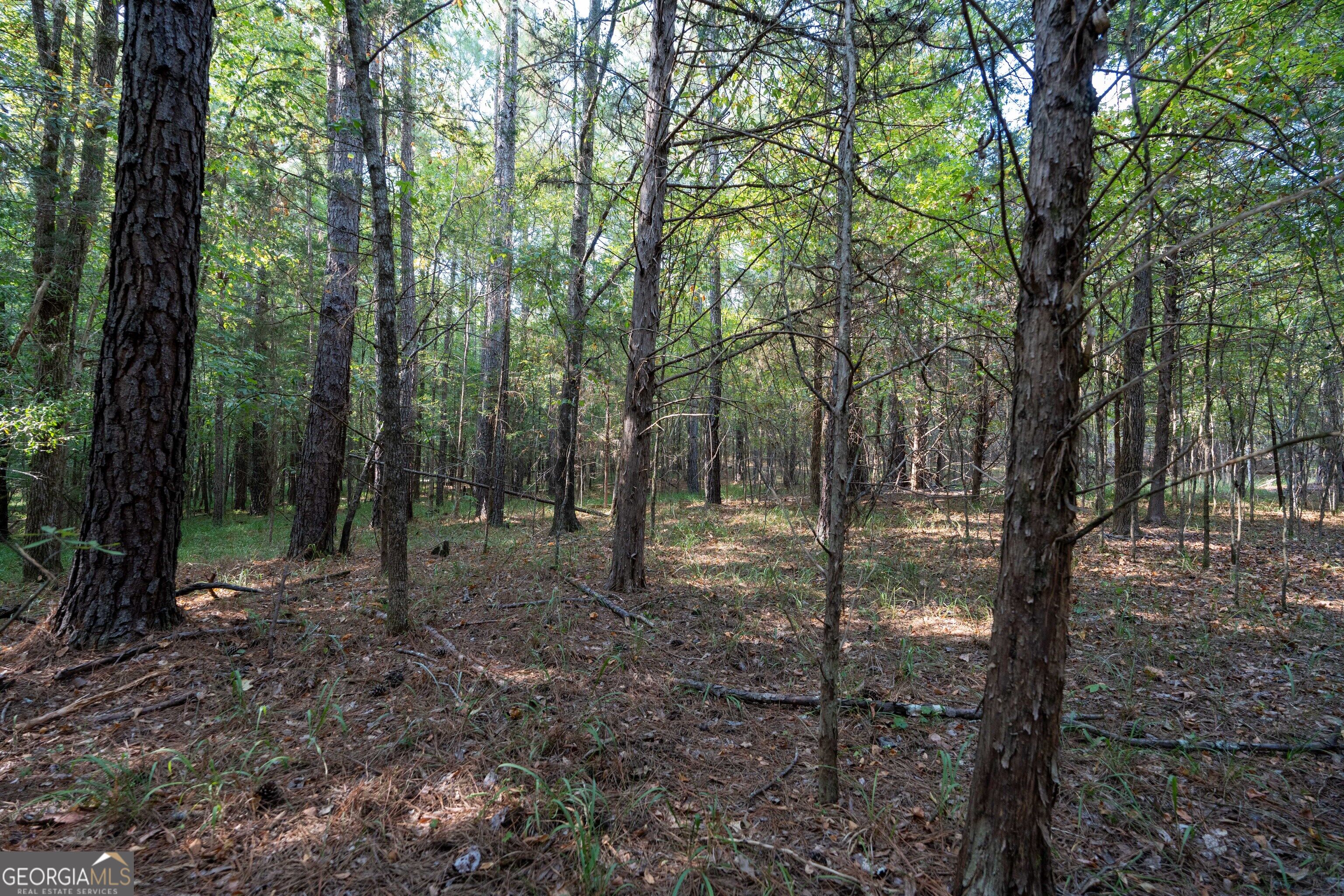 1419 Bobby Brown State Park Road Elberton, GA 30635 - Photo 76 of 90 Gallery Image 76