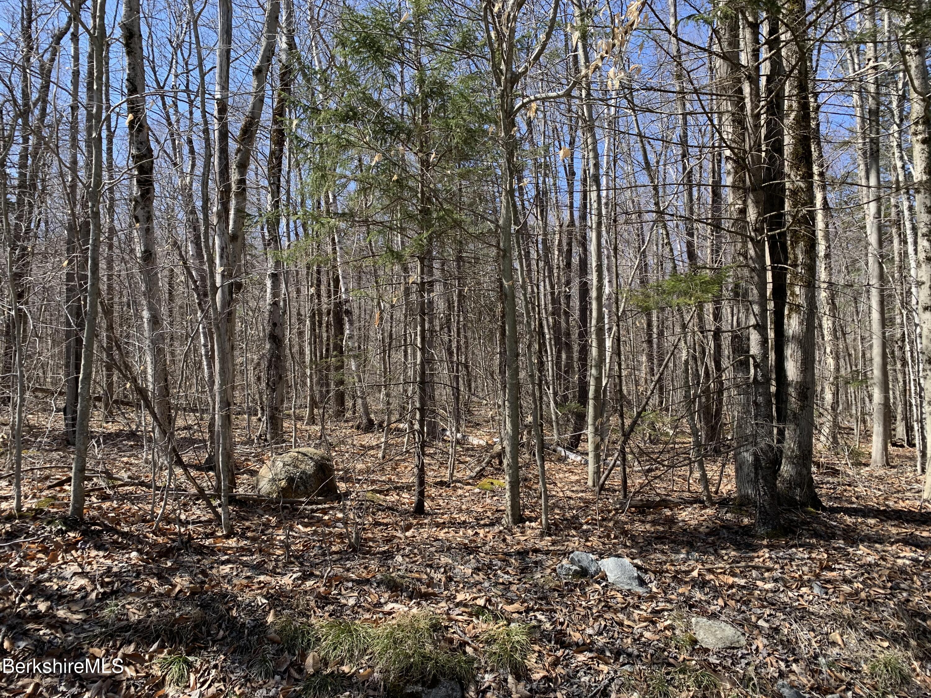 Lot 62 Fred Snow Road Becket, MA 01223 - Photo 14 of 16 LOT 62