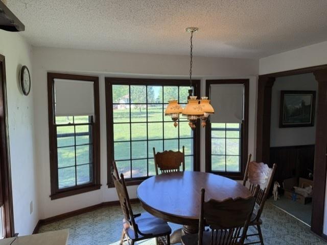 811 Barron Road Raymore, MO 64083 - Photo 4 of 16