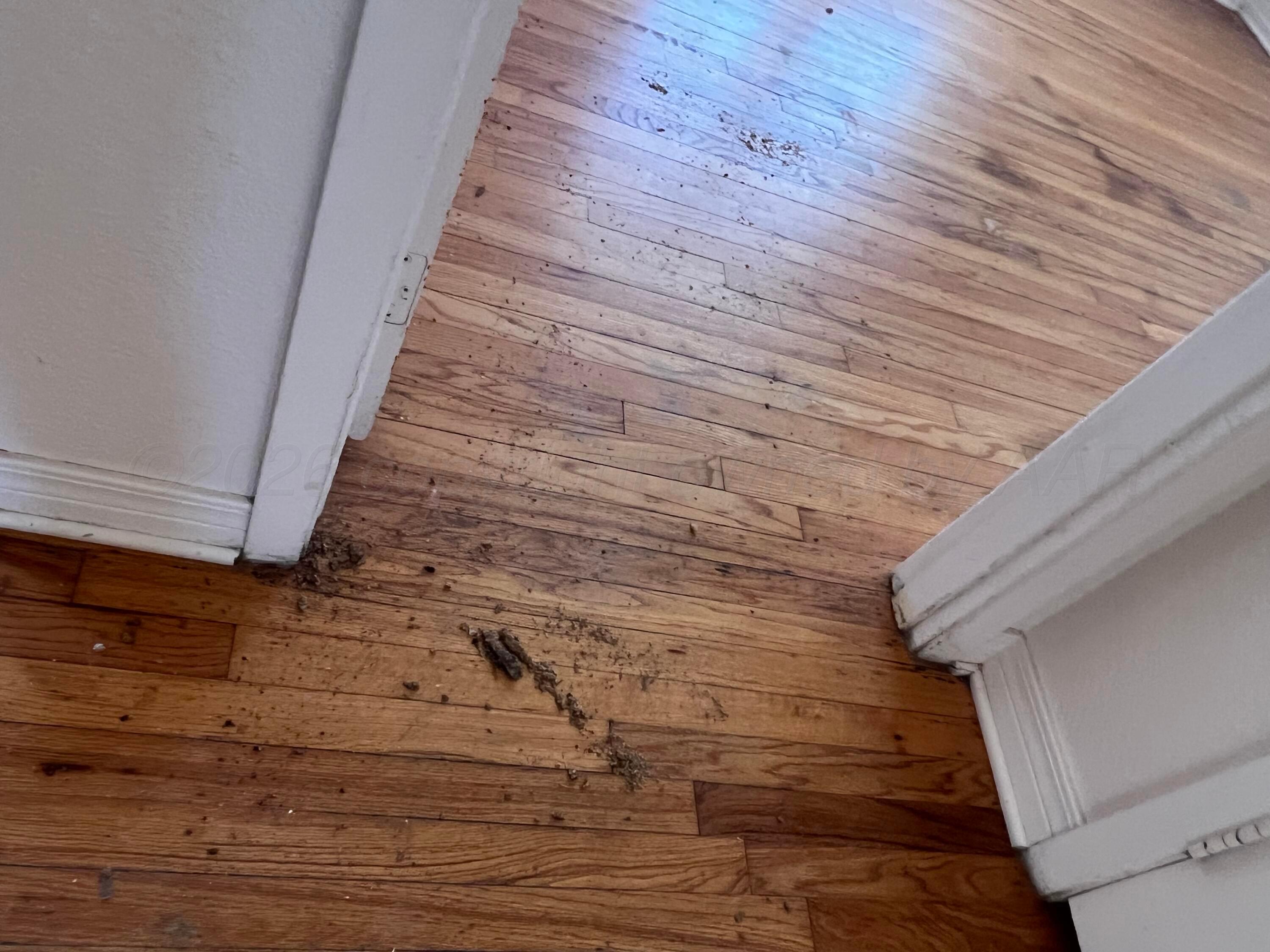 1613 Martin Road Amarillo, TX 79107 - Photo 11 of 24 1613 Martin Rd, Amarlllo, TX