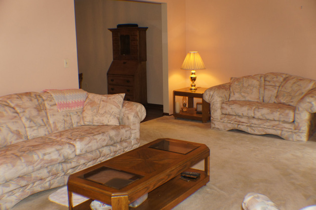 931 Lewis Road Geneva, IL 60134 - Photo 4 of 22