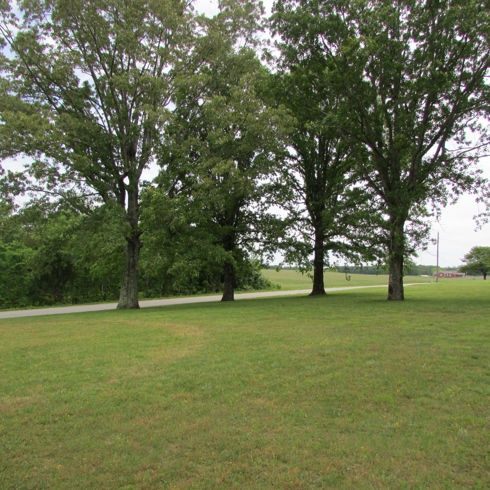 1795 Scenic Road Lawrenceburg, TN 38464 - Photo 36 of 42 Gallery Image 36