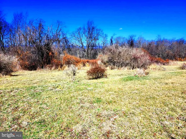 a view of a yard with a house