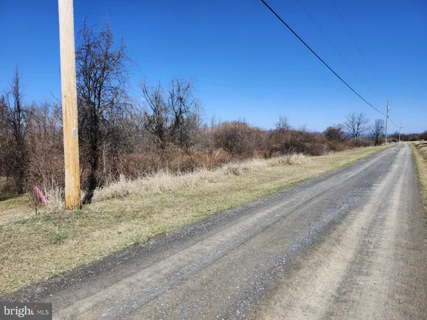 a view of yard with trees