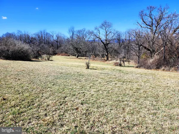 a view of lawn with a yard