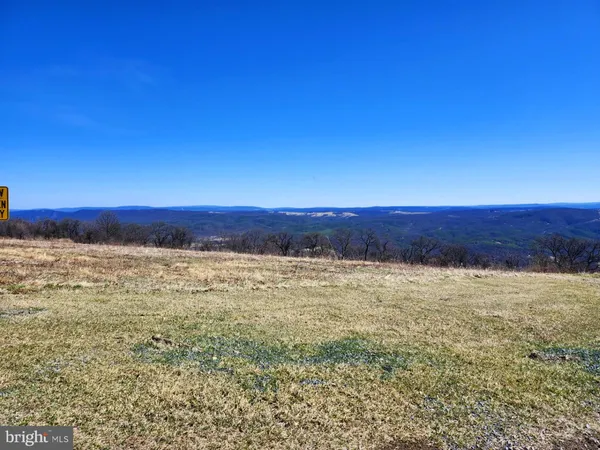 a view of a dry yard with trees