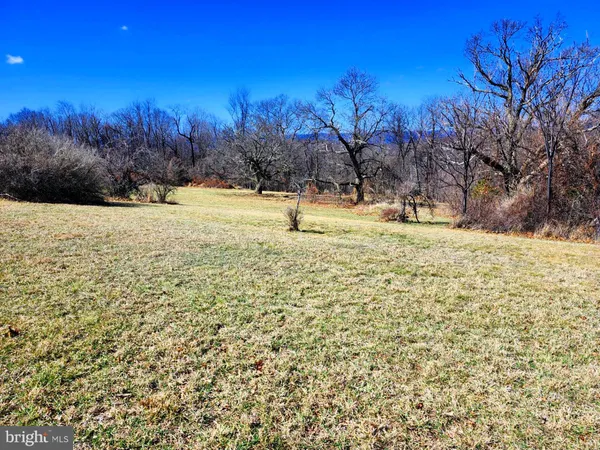 a view of back yard of the house