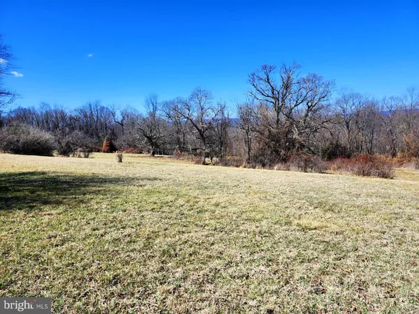 a view of a yard with plants and trees