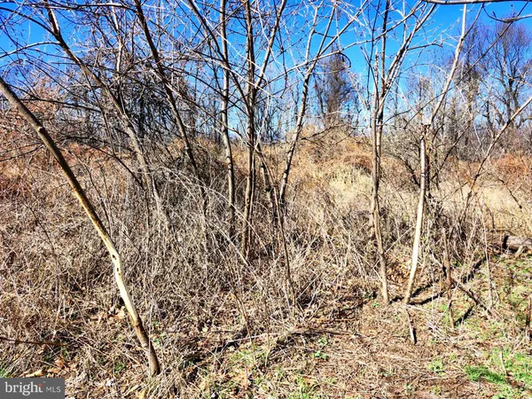 a view of an ocean beach and a mountain