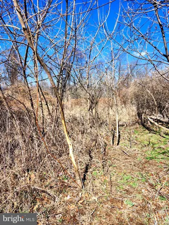 a view of a yard with wooden fence