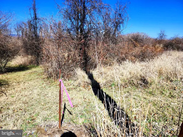 a view of a yard covered with snow in the background