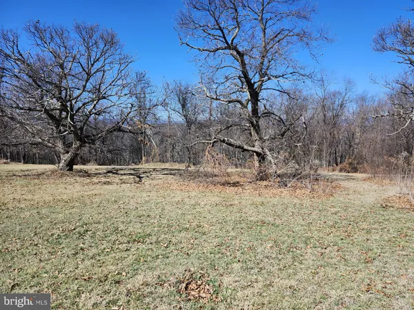 a view of an outdoor space and a yard