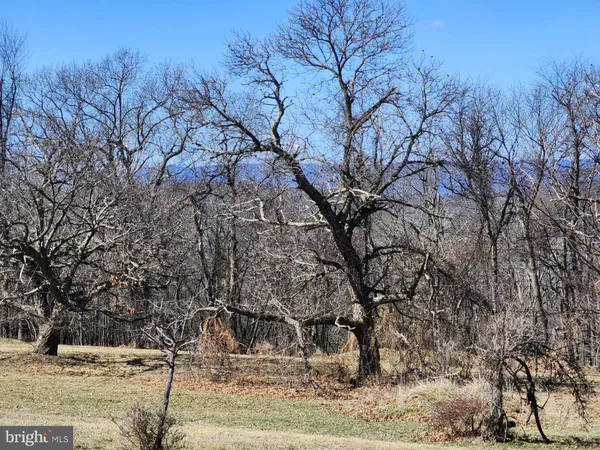 a view of a yard with a snow