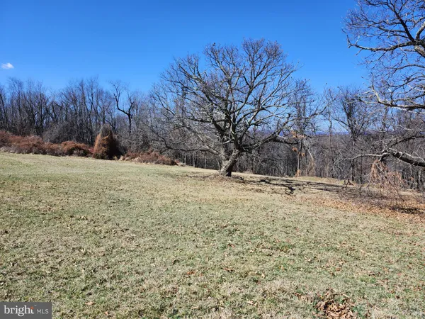 a view of a yard with trees in the background