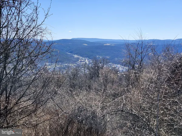 a view of a yard covered with snow