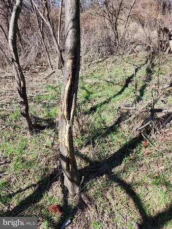 $98,900 | 8182 Skyview Drive, Romney, WV 26757