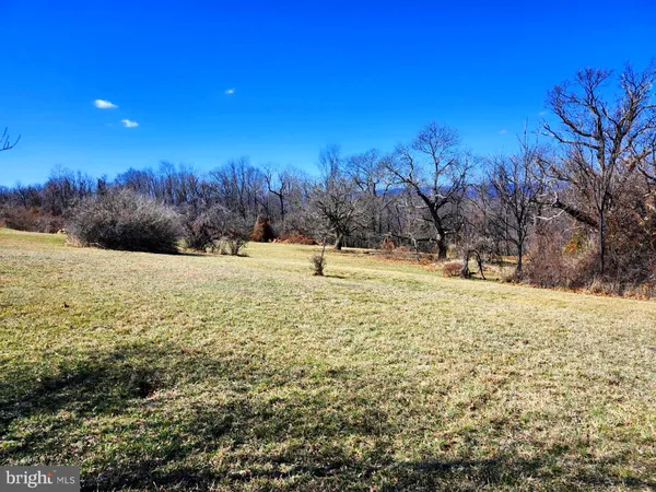 a view of a yard covered with snow in front of house