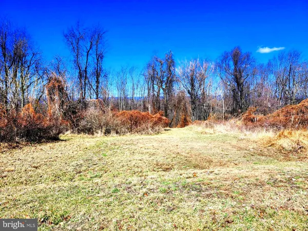 a view of an outdoor space and a yard
