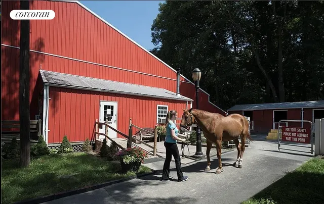 a view of a table and chairs in the garden