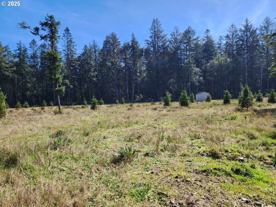 Hubbard Lane, Unit 4 Port Orford, OR 97465 - Photo 2 of 8 a house with trees in the background