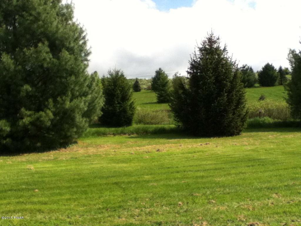 Griffith Road Tyler Hill, PA 18469 - Photo 5 of 15 LEVEL
