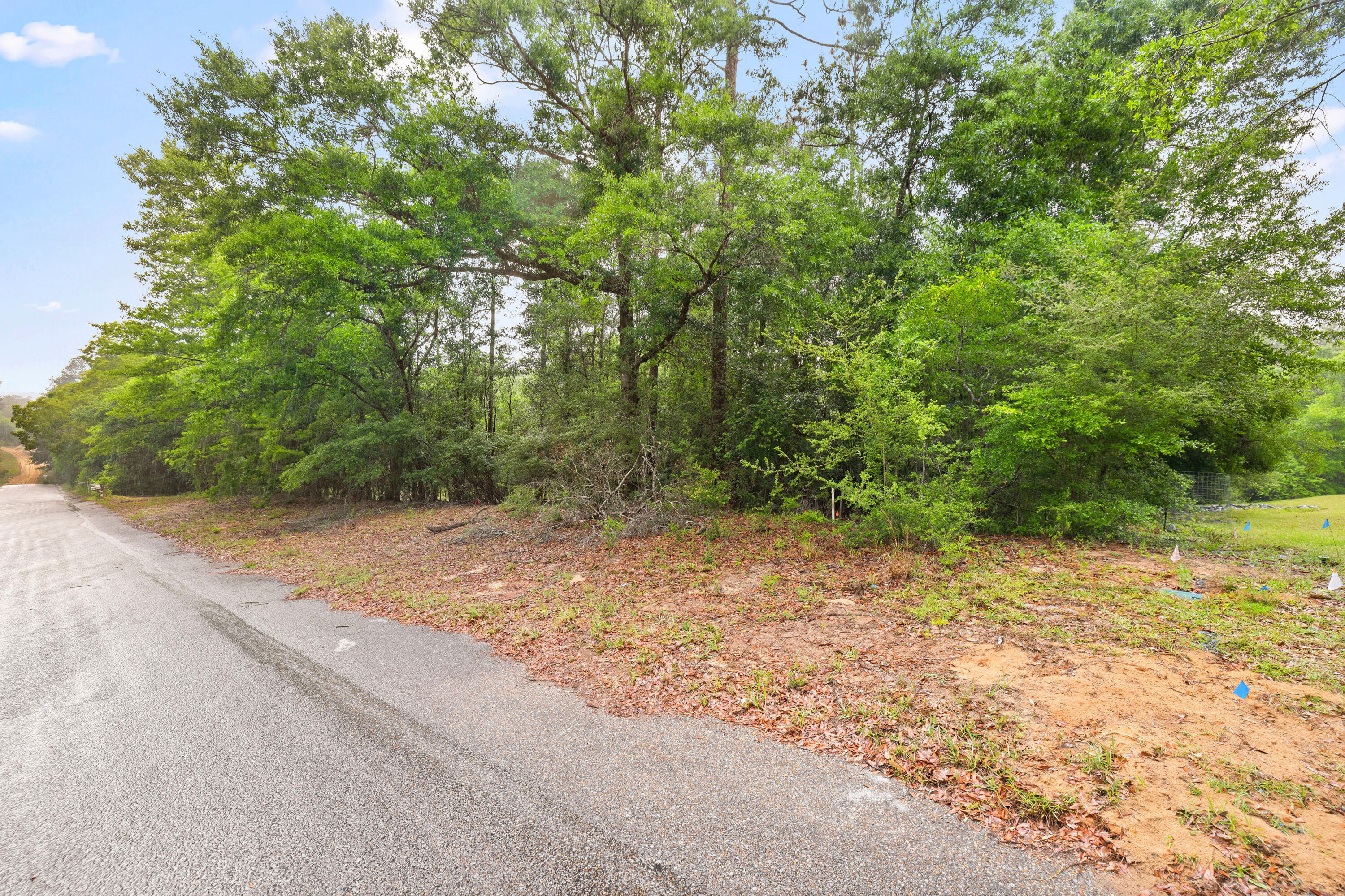 . Sam Carver Road Crestview, FL 32536 - Photo 13 of 27 SamCarverRdLand-Crestview-FL-013