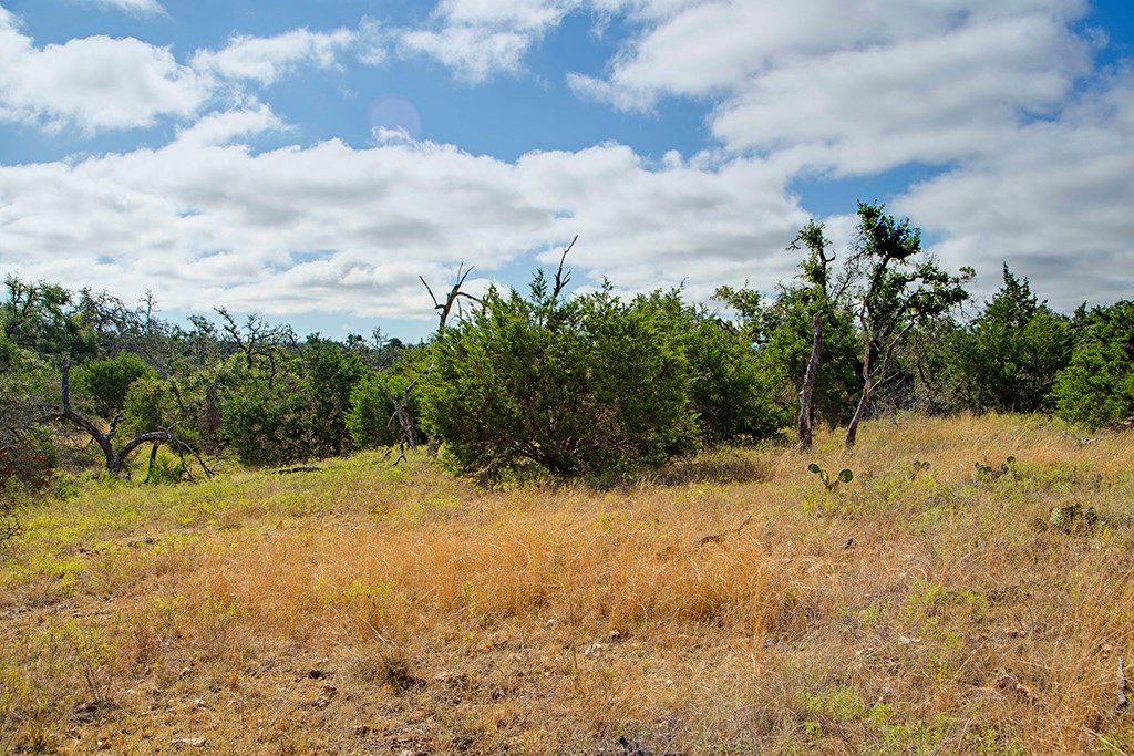 0 Reeh-Weinheimer Road Fredericksburg, TX 78624 - Photo 10 of 25 Gallery Image 10