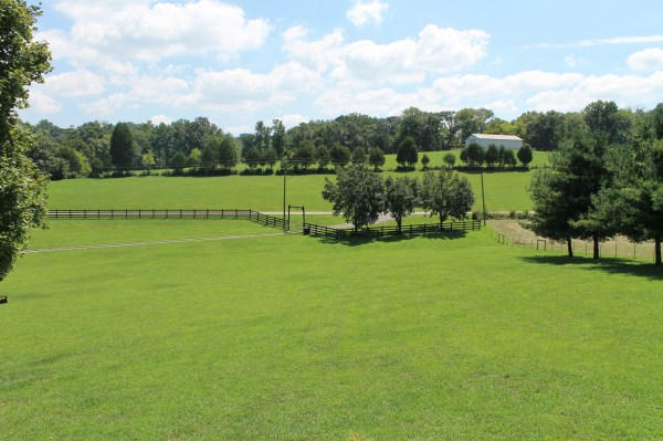 4036 Light Pink Road Louisville, TN 37777 - Photo 20 of 39 IMG_1048