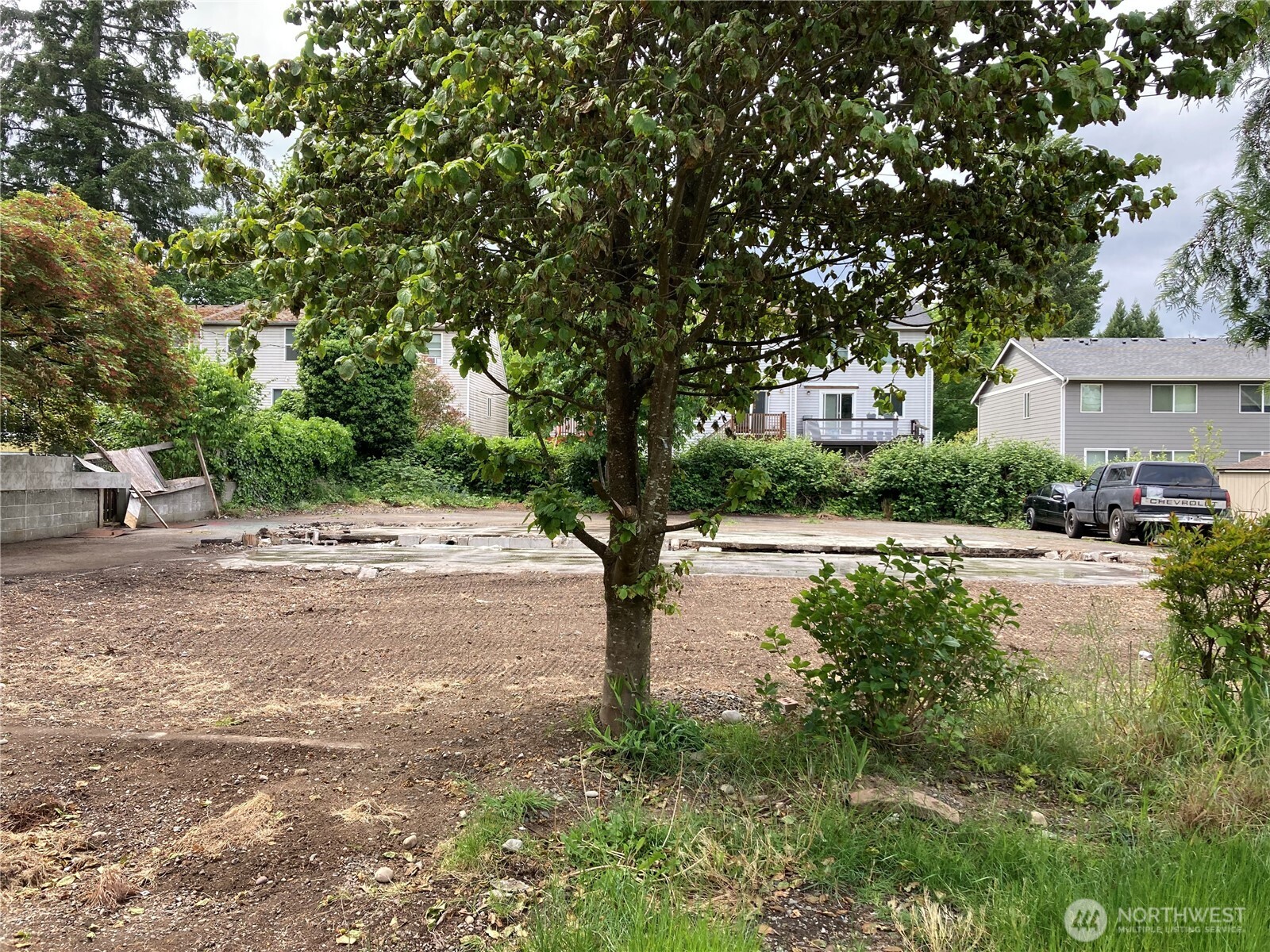 1201 E Street Southeast Lacey, WA 98503 - Photo 3 of 4 a view of road with large trees