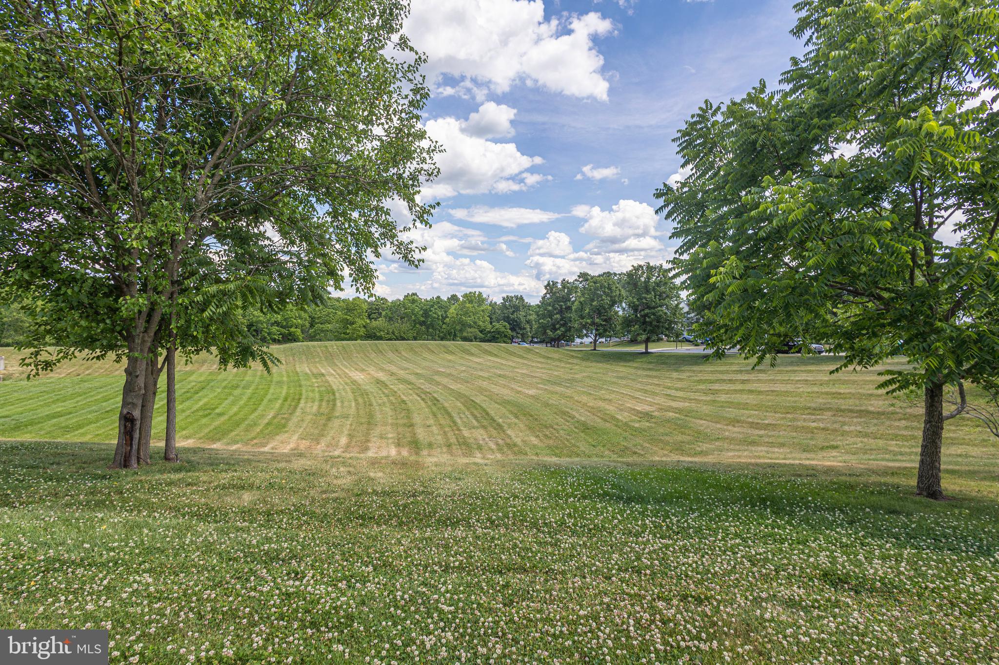 4529 Old Oak Road Doylestown, PA 18902 - Photo 56 of 61