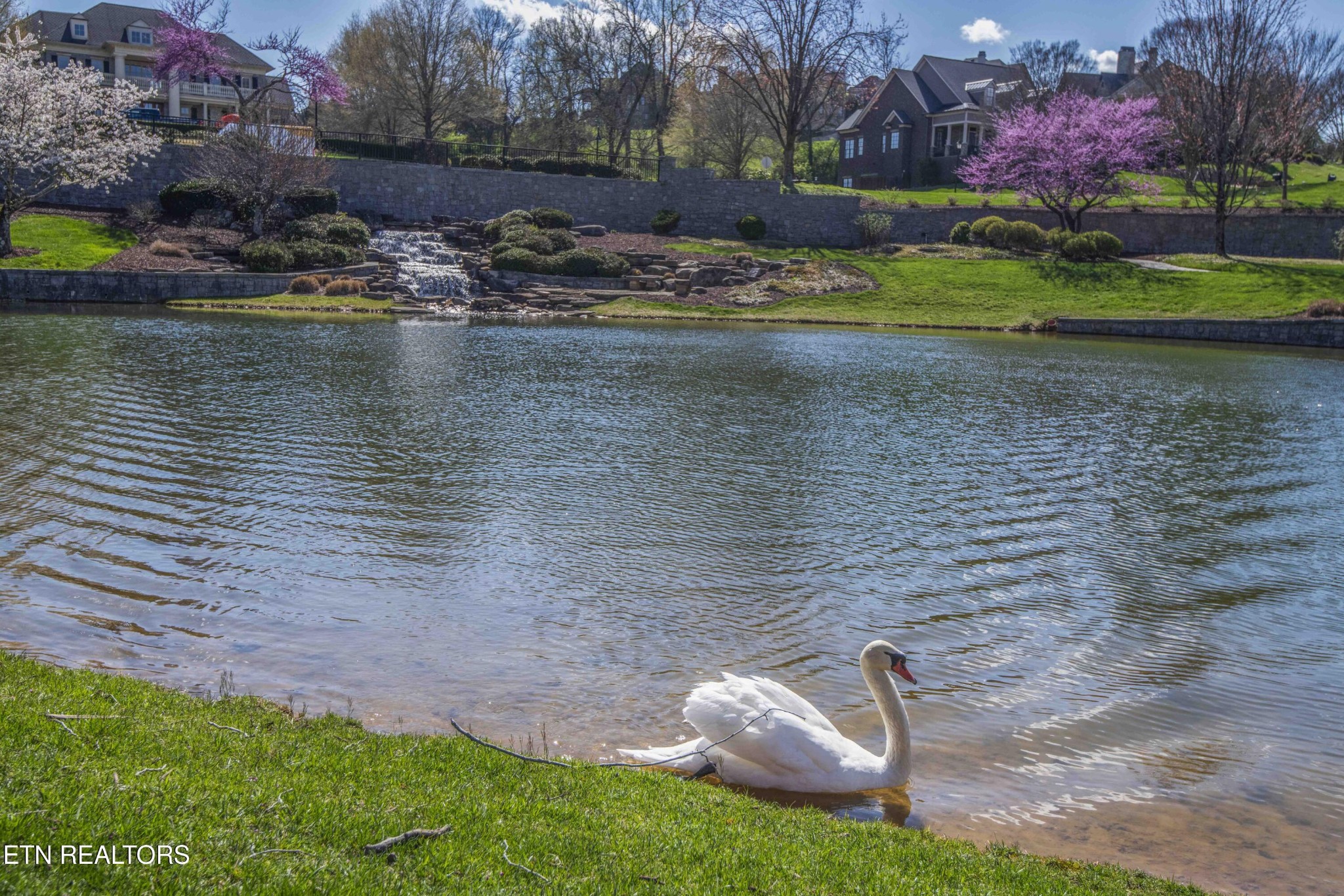638 Barnsley Road Knoxville, TN 37934 - Photo 16 of 18 a view of a backyard with plants and lake view