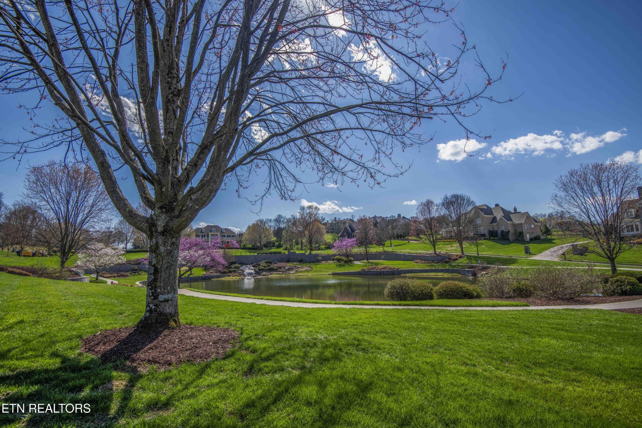 638 Barnsley Road Knoxville, TN 37934 - Photo 17 of 18 a view of grassy field with trees