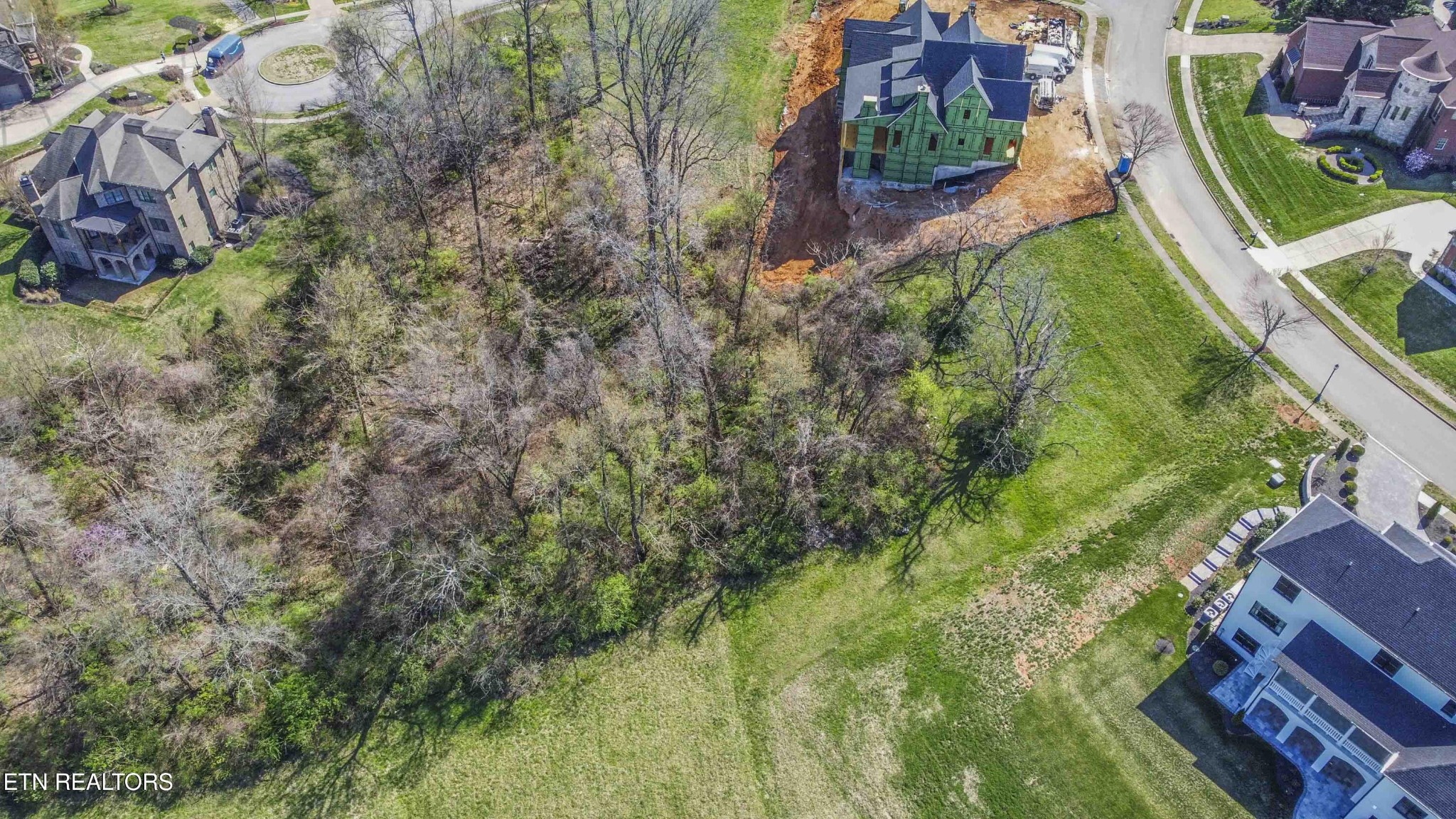 638 Barnsley Road Knoxville, TN 37934 - Photo 5 of 18 a view of a yard with plants