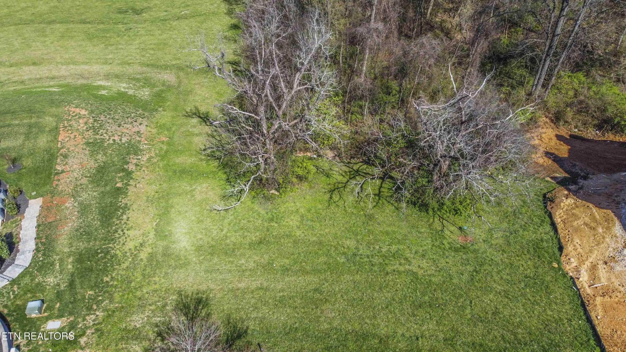 638 Barnsley Road Knoxville, TN 37934 - Photo 7 of 18 a close up of a plant in a garden