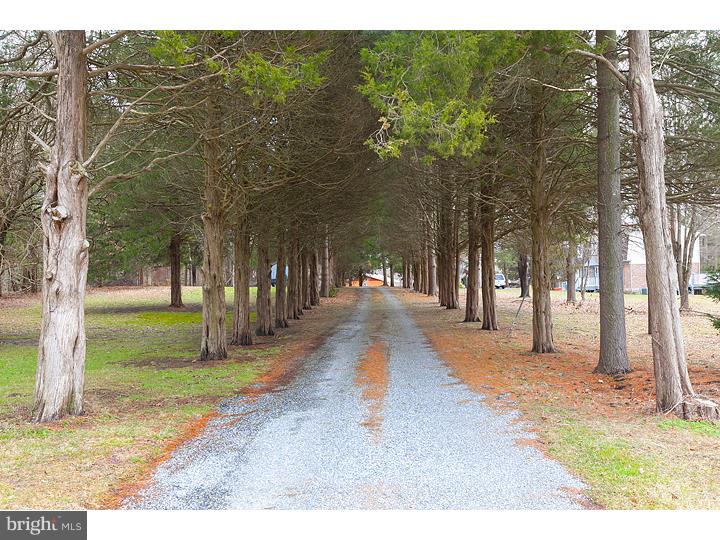 199 Timberman Road Alloway, NJ 08098 - Photo 24 of 25 Driveway