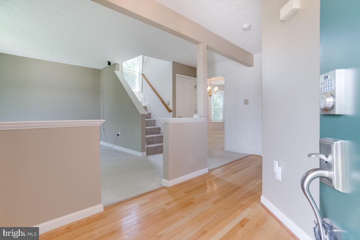 6402 Hanover Crossing Way Hanover, MD 21076 - Photo 3 of 49 Center Hall Entry Foyer with Hardwood Floor