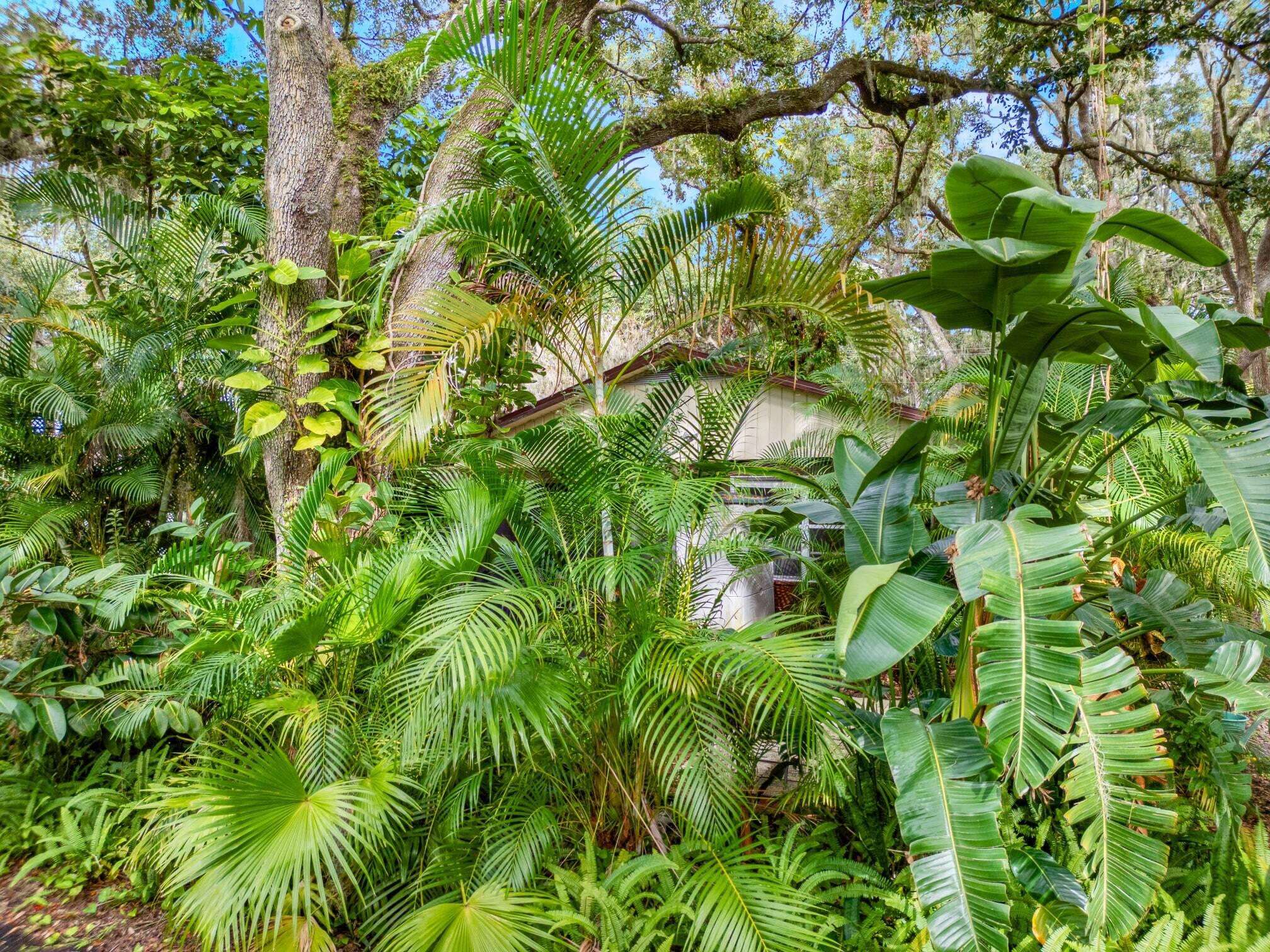 141 Fernery Road, Unit H3 Lakeland, FL 33809 - Photo 22 of 27 Rear