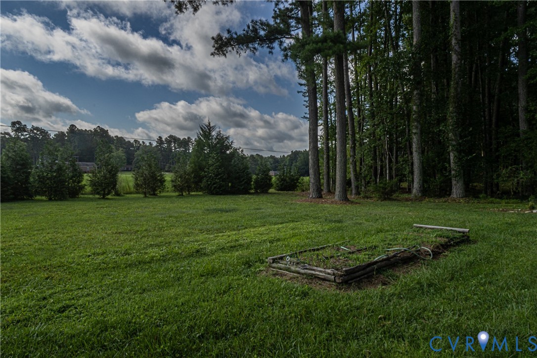 309 Old Plank Road Kenbridge, VA 23944 - Photo 11 of 45 Expansive green lawn with a raised garden bed and