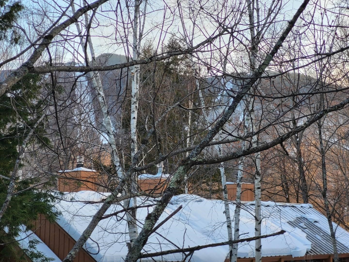 22 Brookside Road, Unit 3 & 4 Lincoln, NH 03251 - Photo 43 of 43