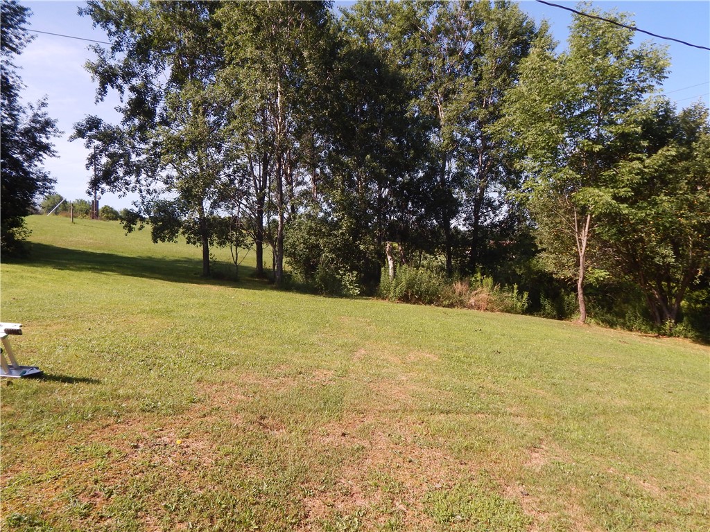 203 Bell Hill Road Butternuts, NY 13808 - Photo 20 of 28