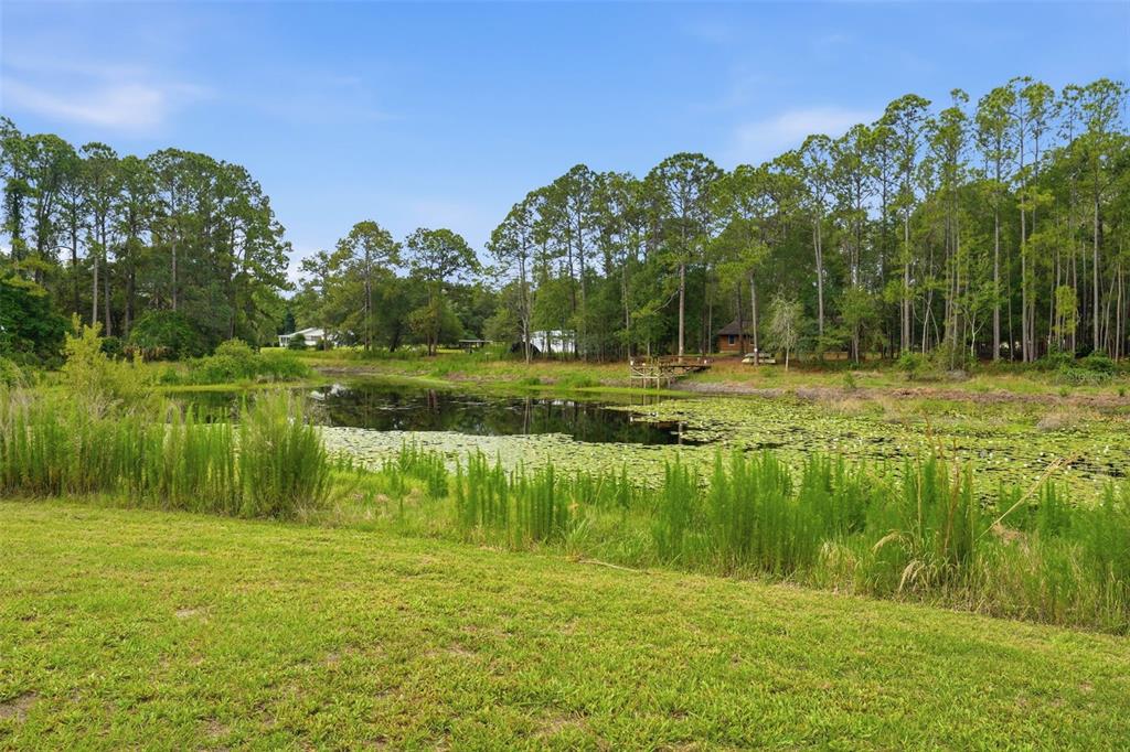 9380 North Cedar Cove Road Dunnellon, FL 34434 - Photo 13 of 55