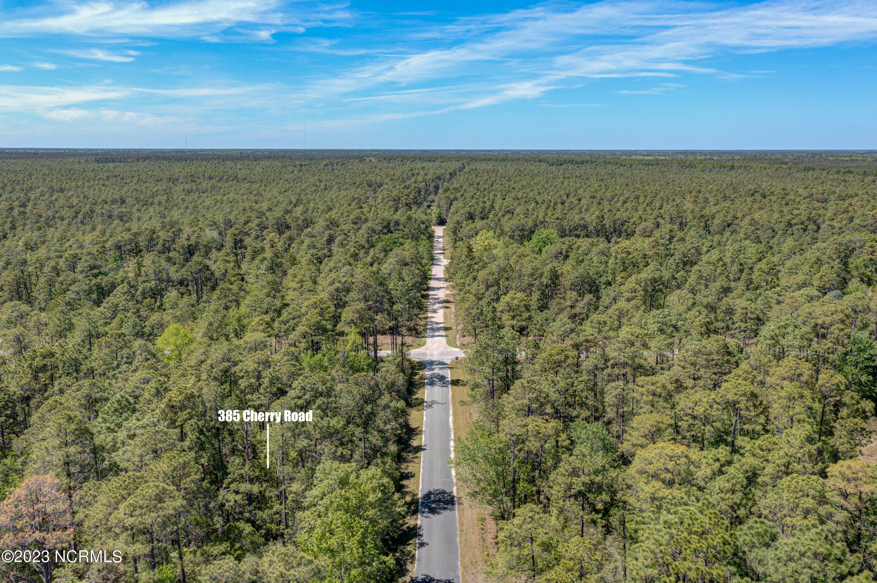 385 Cherry Road Boiling Spring Lakes, NC 28461 - Photo 2 of 8 385CherryDrone-2