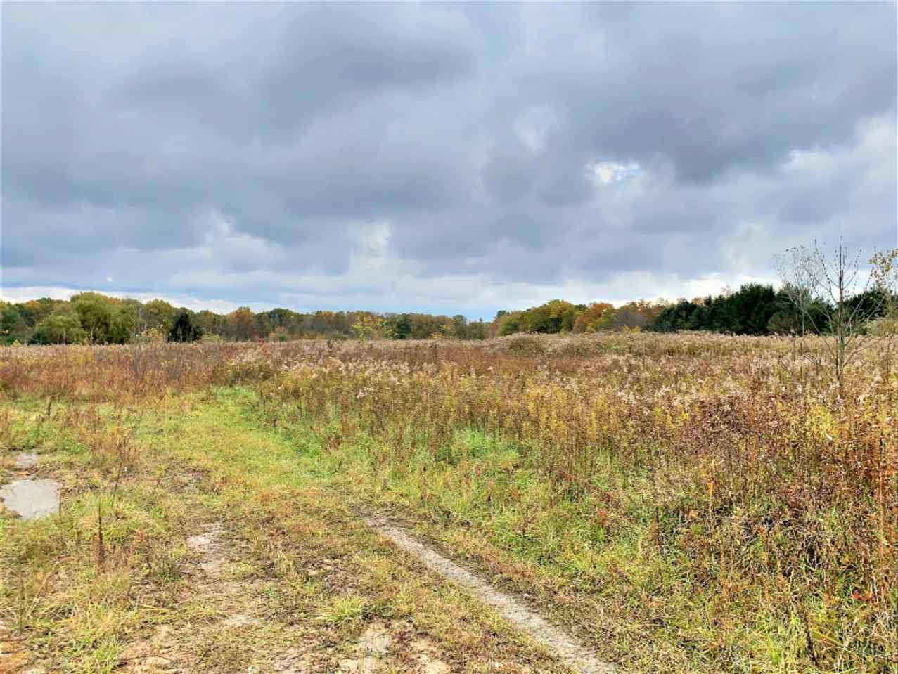 A Warren Woods Road Lakeside, MI 49116 - Photo 1 of 1