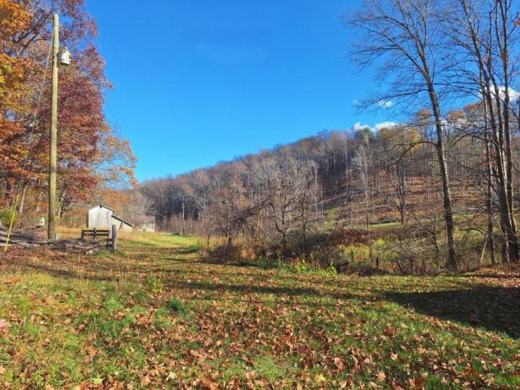 2219 Hewitt Road Swoope, VA 24479 - Photo 1 of 53 Gently Rolling with Views