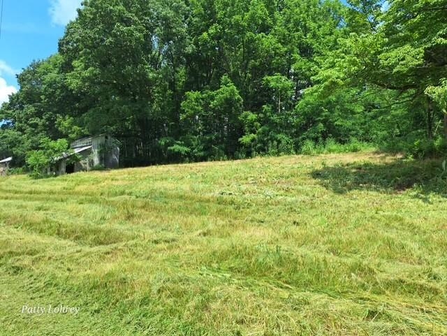 2219 Hewitt Road Swoope, VA 24479 - Photo 11 of 53