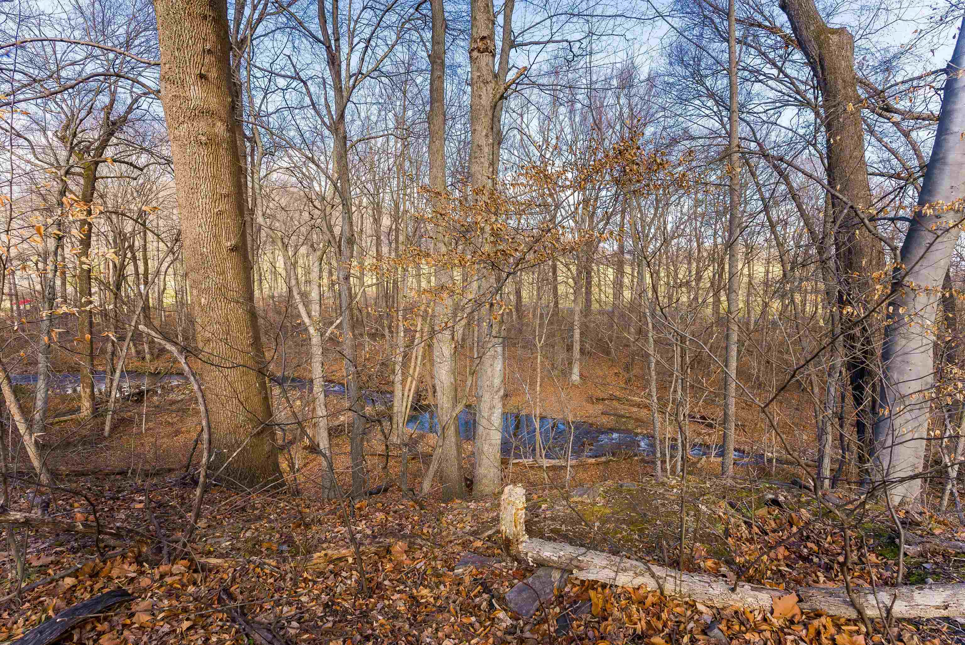 2219 Hewitt Road Swoope, VA 24479 - Photo 13 of 53 Your Creek to Enjoy