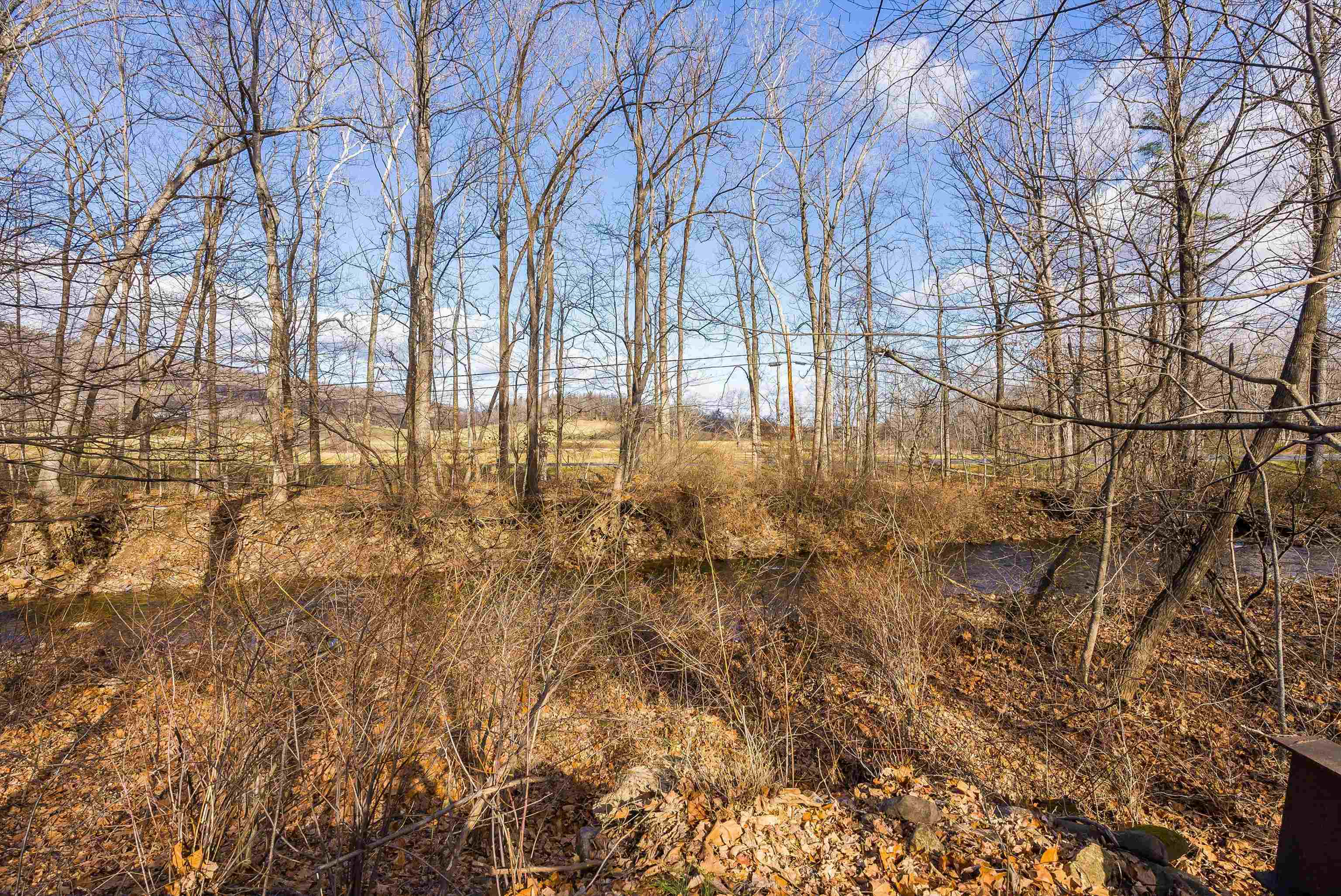 2219 Hewitt Road Swoope, VA 24479 - Photo 14 of 53 a view of yard with green space
