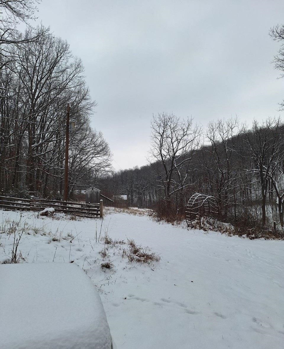 2219 Hewitt Road Swoope, VA 24479 - Photo 17 of 53 a view of a snow covered with snow